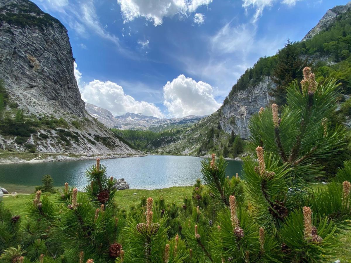 Hostel Soca Rocks Bovec Exteriér fotografie